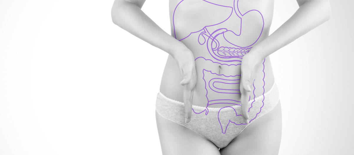 liver digestion